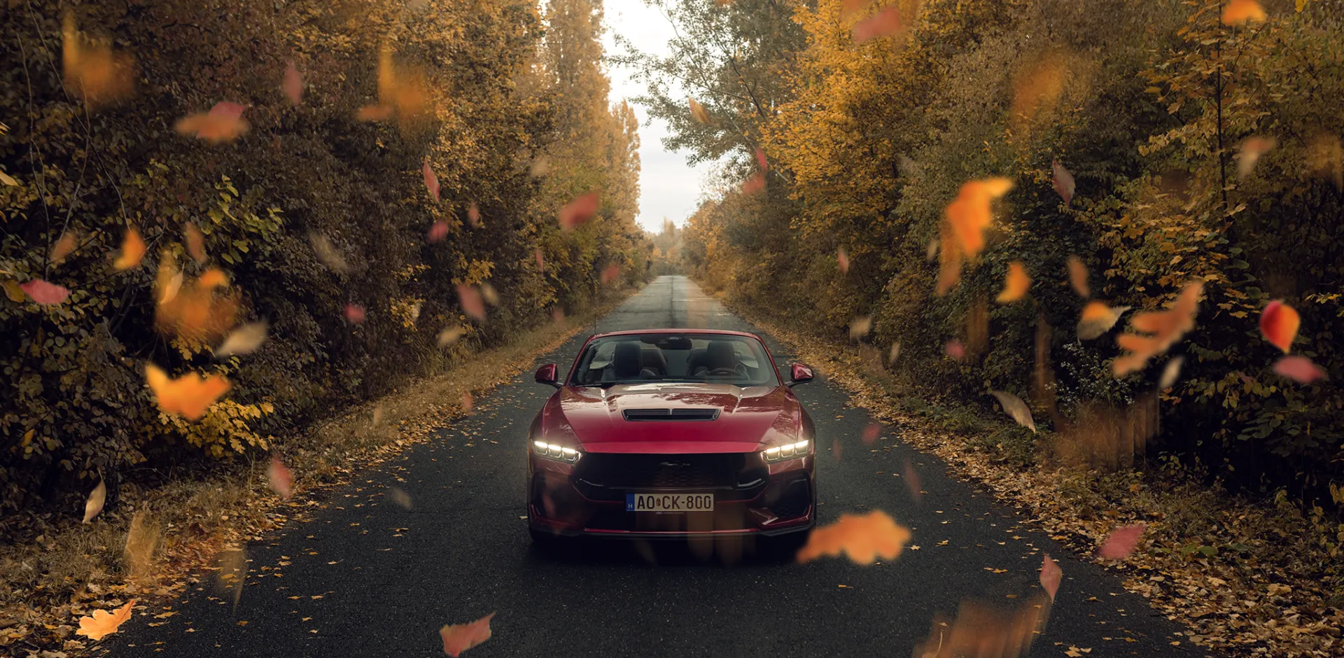Ford Mustang GT Cabriolet