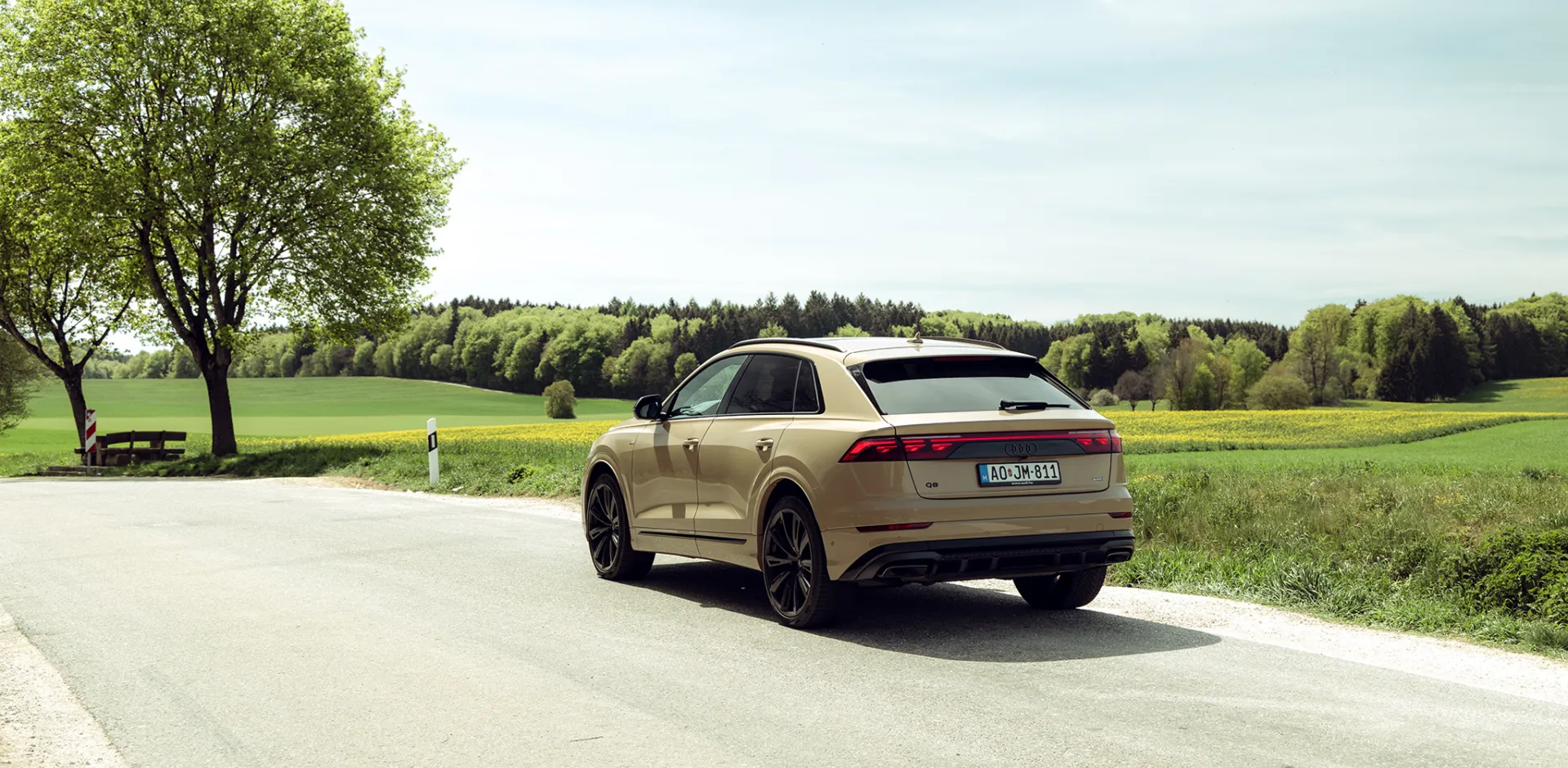 Audi Q8 50 TDI